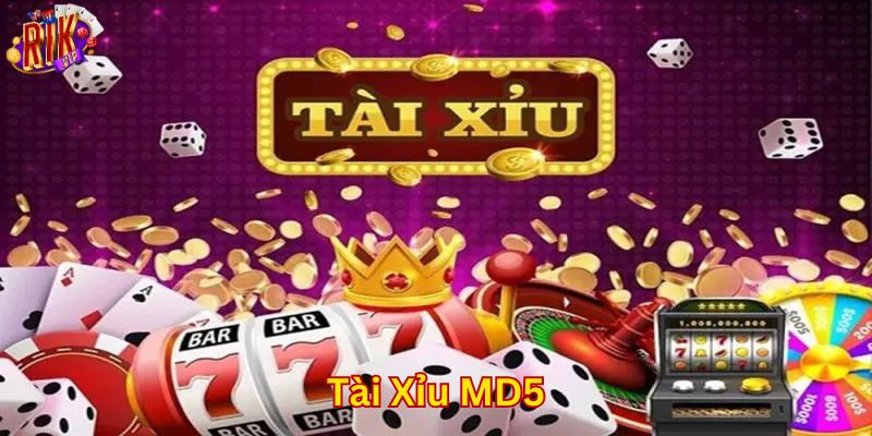 Mẹo chơi tài xỉu MD5 dễ thắng đậm từ cao thủ